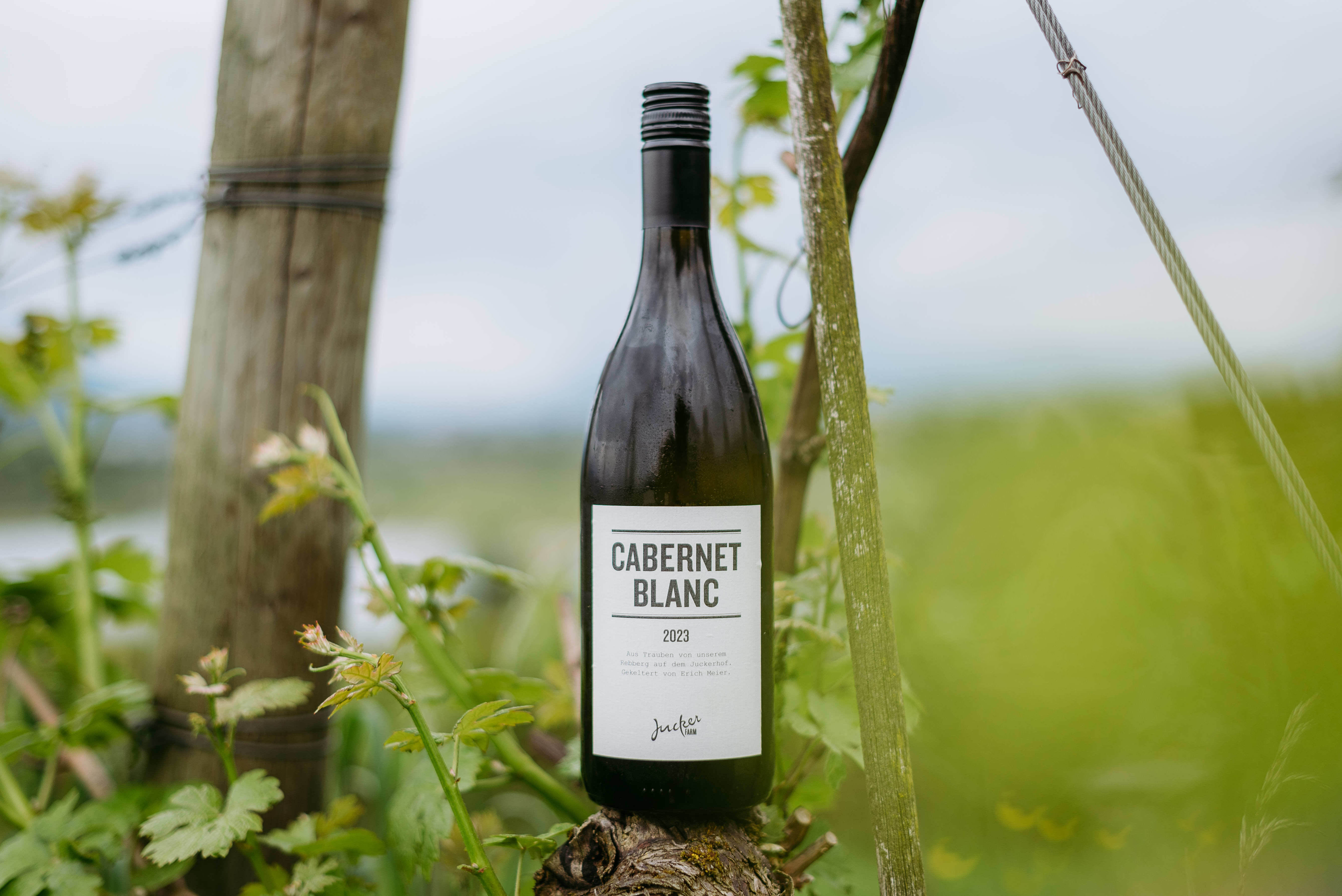 Cabernet Blanc, 75 cl