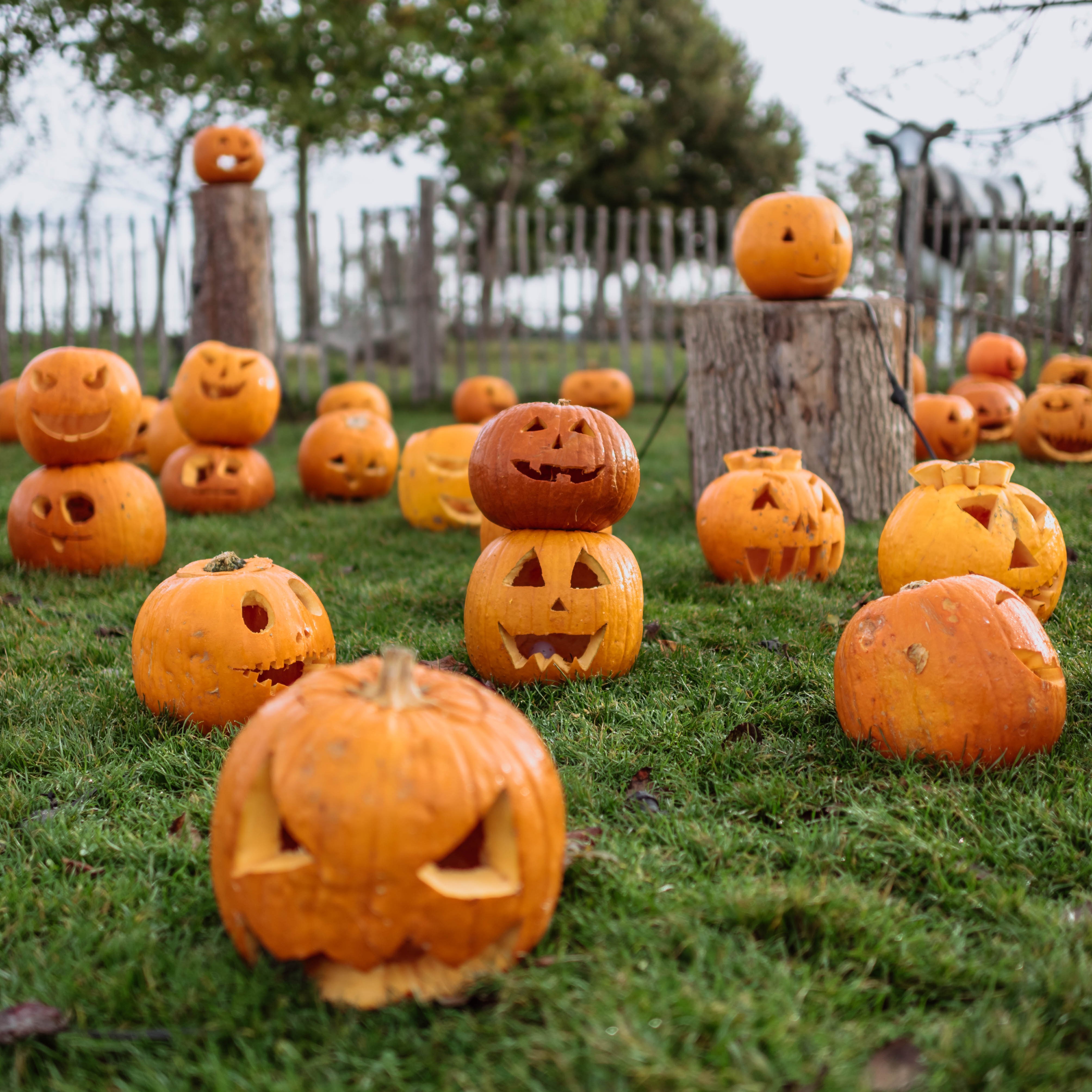 Geschenkkisten passend zum Herbst