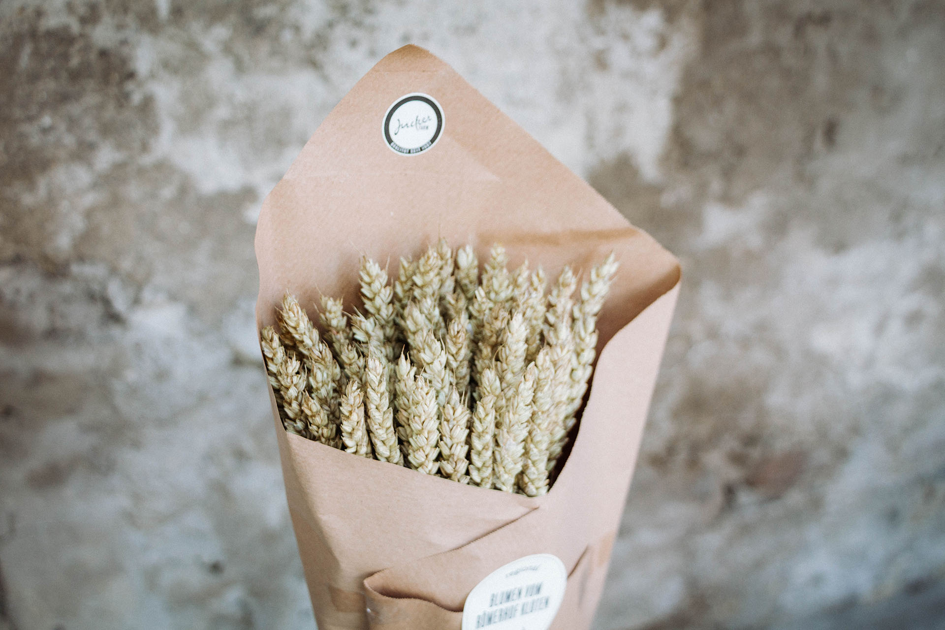 Trockenblumen Weizen
