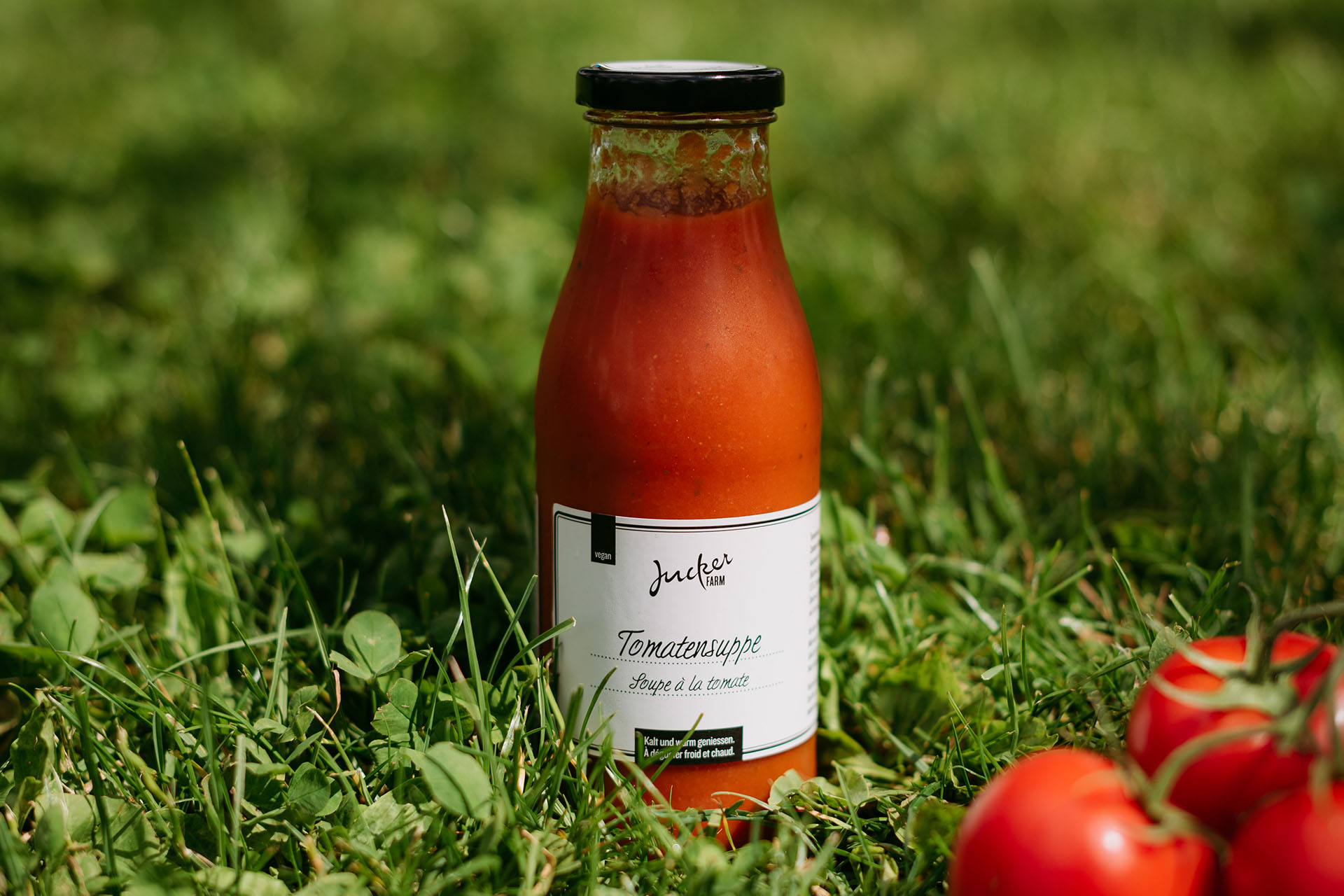 Tomatensuppe, 48 cl