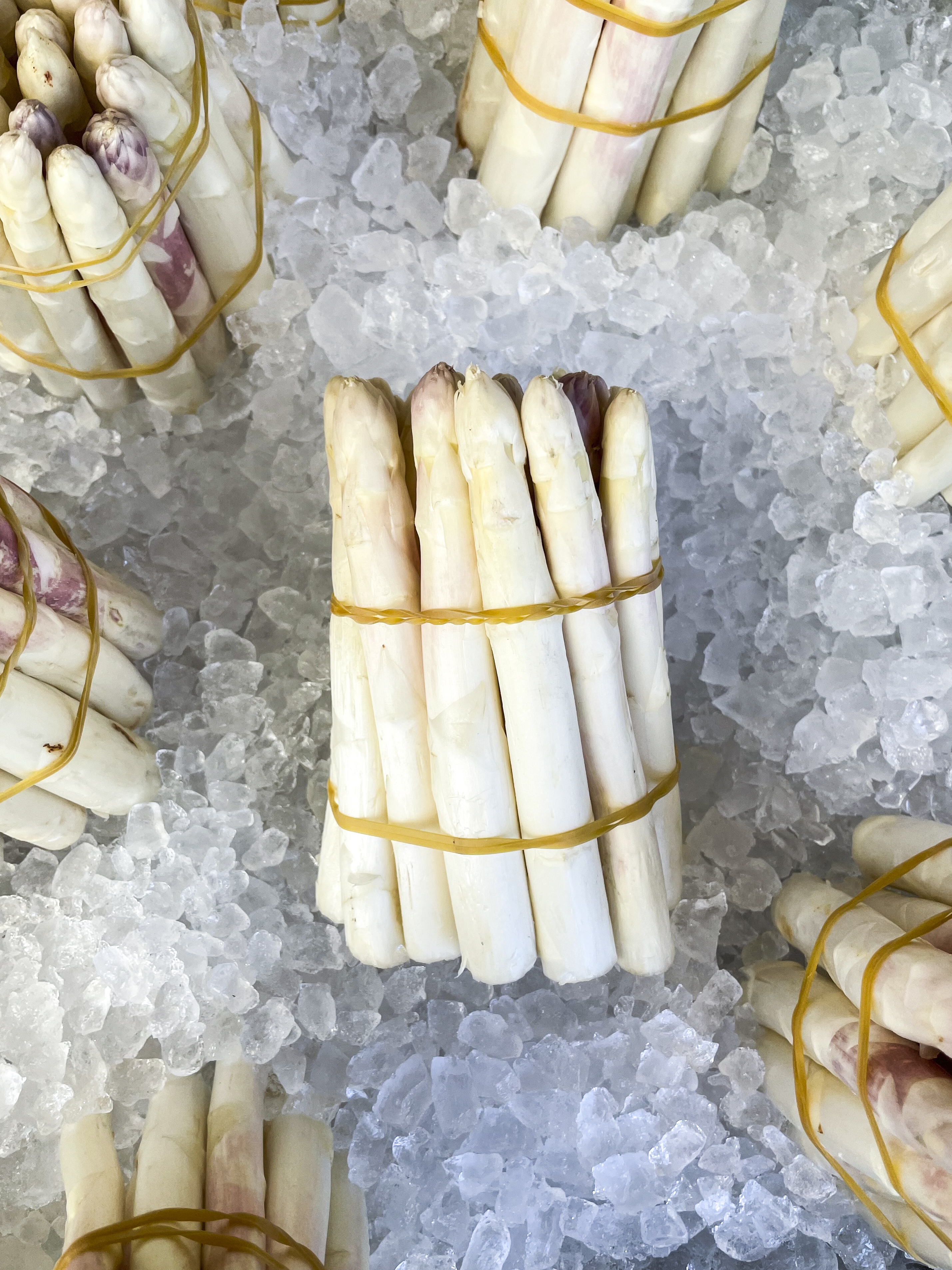 Spargel weiss 500g 
