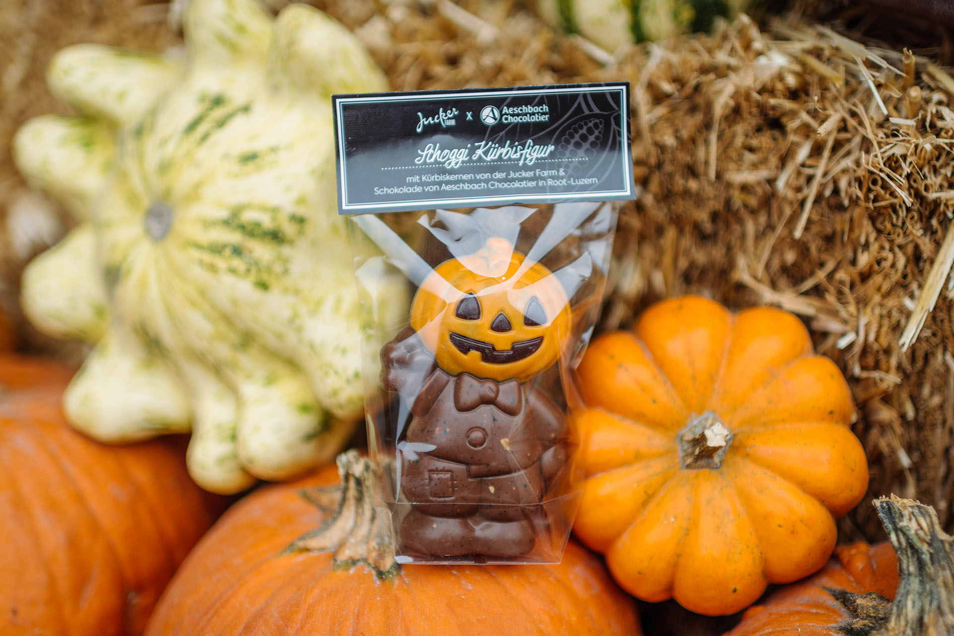 Schokolade Kürbisfigur 50 g