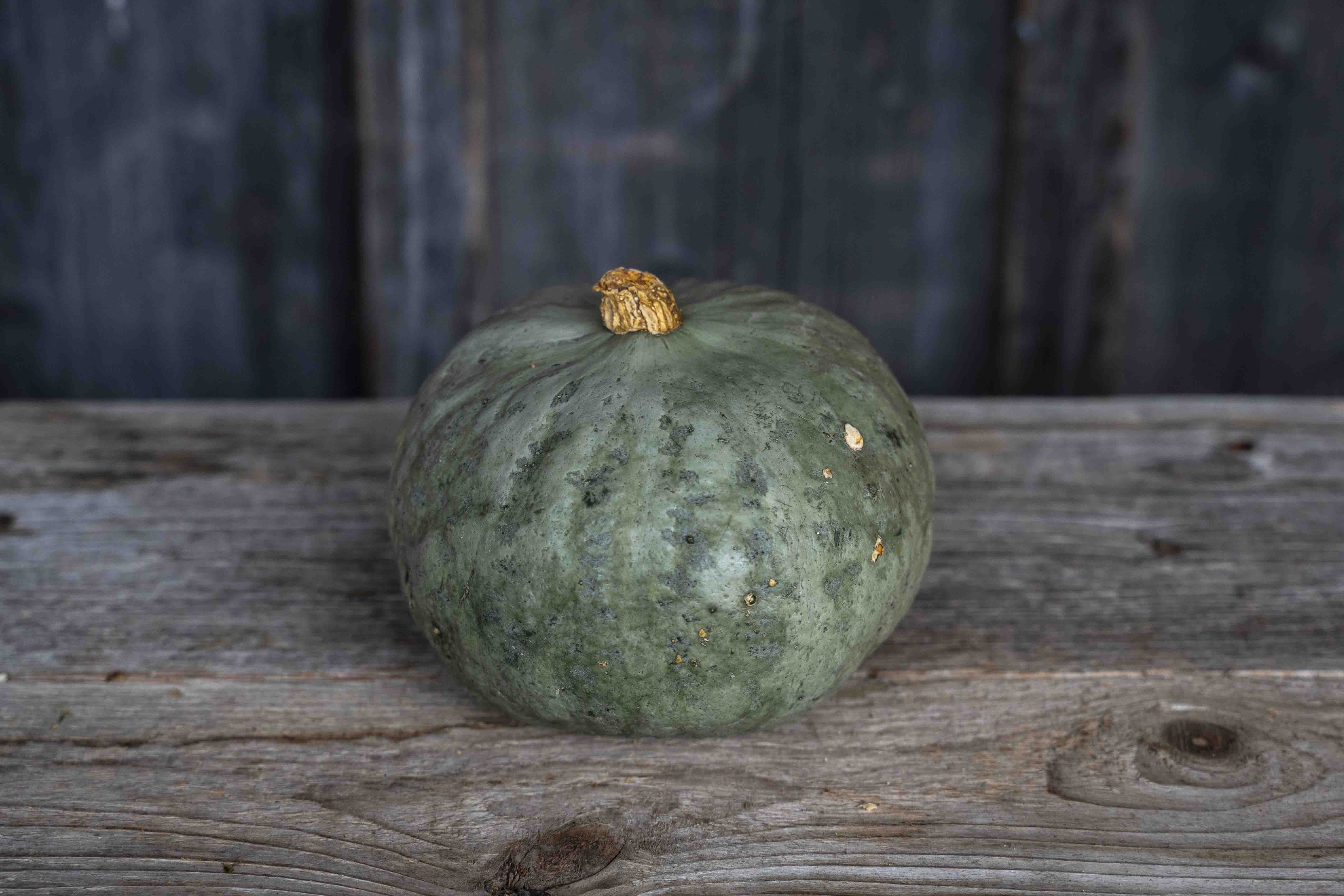 Kabocha Kürbis klein